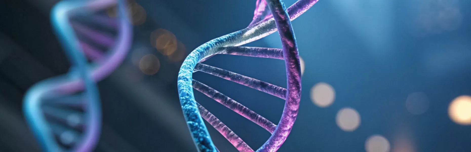 Optical Products in Biotechnology Optical Products in Biotechnology