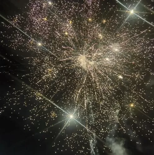 Joyful Lantern Festival